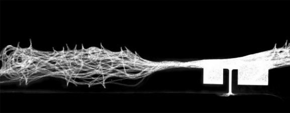 MaasmondSelectionRAAAF